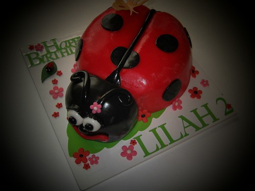 Ladybug Cake by Cake Maniac