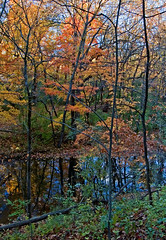 Autumn on Sawmill Creek