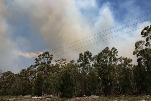 Forest Fire, Central Tasmania.