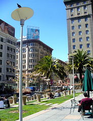 Union Square, San Francisco; photo by Scandblue