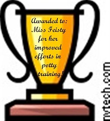 feisty's trophy (Small)