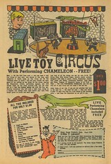 Live Toy Circus (by senses working overtime)