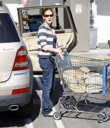 Julia Roberts grocery bags