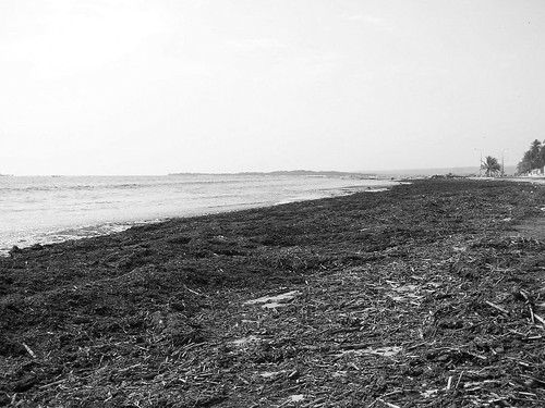 Una playa asimétrica - Nando © 2007 -