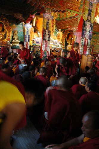 Activity, Passing out long life rice and tea from metal pails to the lamas, monks, nuns, and other Dharma practioners, Tharlam Monastery of Tibetan Buddhism, Boudha, Kathmandu, Nepal by Wonderlane