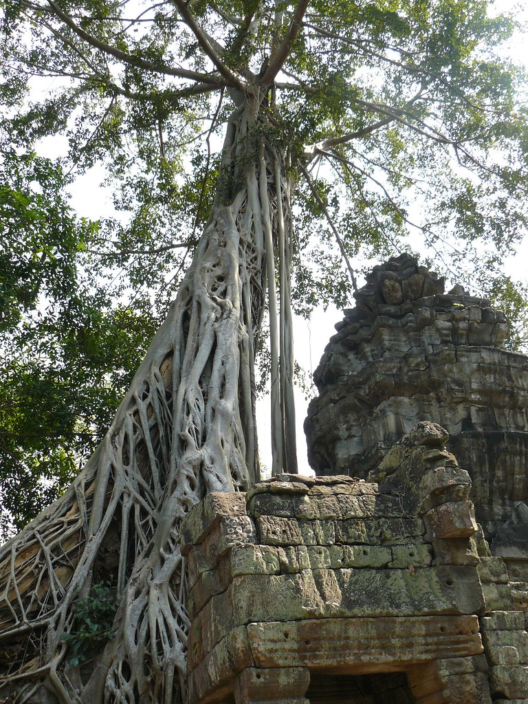 Cambodge - Angkor #82