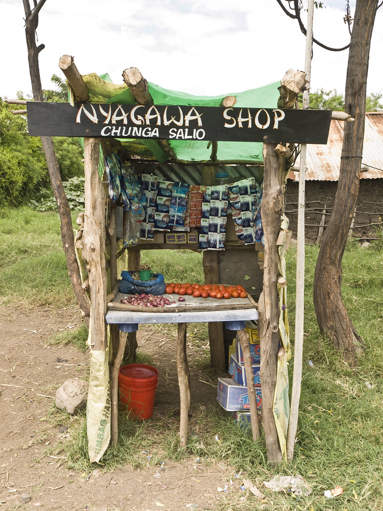 En busca de la gran migración - Blogs de Tanzania - Tercer dia de viaje. Lago Manyara (5)