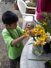 Pao with daffodils 2