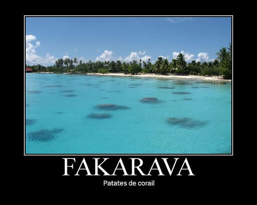 Fakarava corail