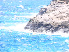 Hawaii Coastline
