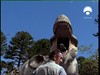10 T rex  roar 16679