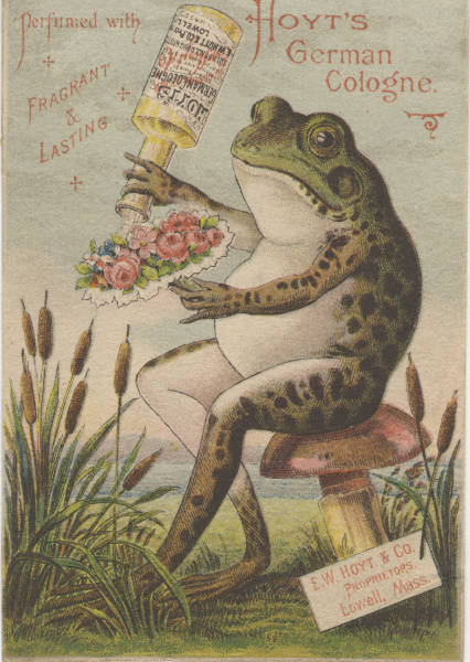 frog pouring perfume on posey of flowers