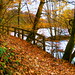 Autumn Path by billtam