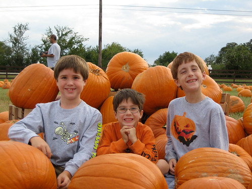 The Boys at the Pumpkin Patch