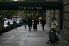 eva of new york