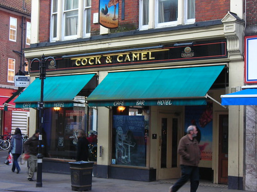 Cock and Camel