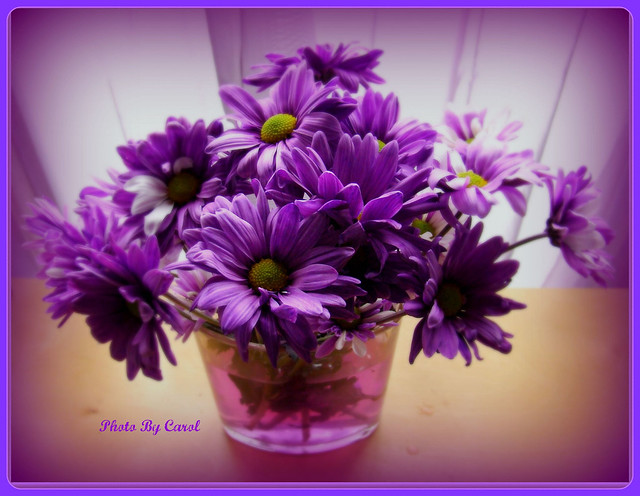 A Bowl Full of Purple Flowers by Tumbleweed Carole Photography