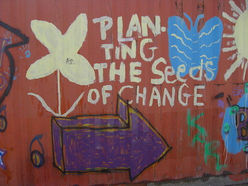 graffiti: a white flower, a bluebutterfly and a big purple arrow, surrounding the words, "planting the seeds of change"