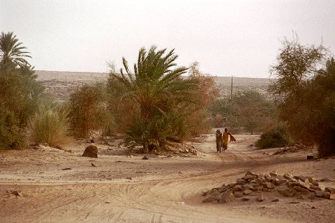 OUADANE / CHINGUETTI - Mauritania (1)