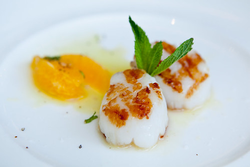 Grilled scallop with citrus salad