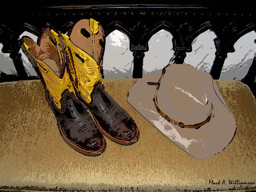 Stetson Cowboy  Boots