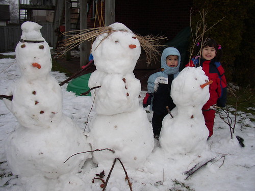 Snow family