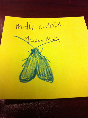 Moth drawing