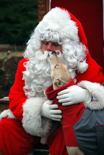 Reindog 14: Santa's Little Helper