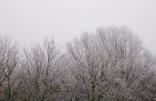 初雪-Delft-071220