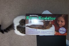 Victor's Kitty Kuddler