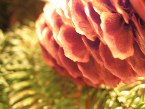 Pinecone and Greenery