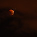 Lunar eclipse - 14