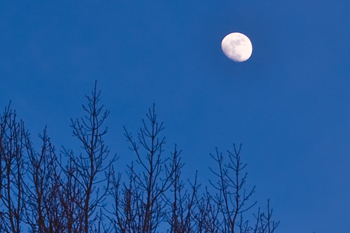 Moon Over Durand Eastman Park