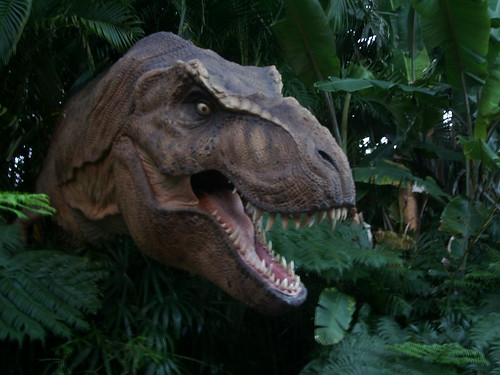t rex dinosaur. T-Rex Dinosaur