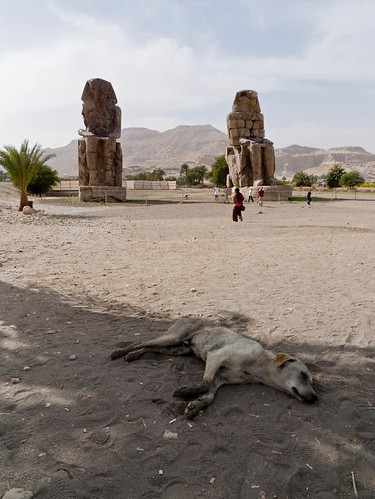 P1040205_Luxor_Colossi_Of_Memnon