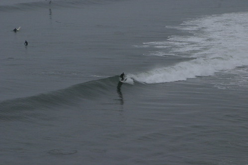 Cove surf