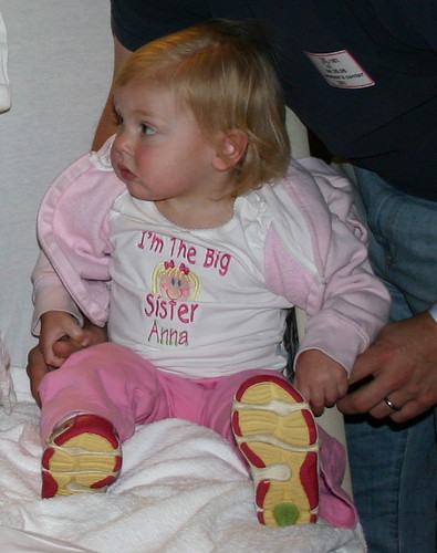 Anna's Big Sister Tshirt
