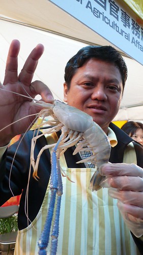 Shrimp -Thai Festival 2008 03-