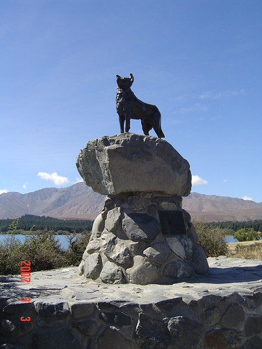 Dog Statue @ Lake Tekapo