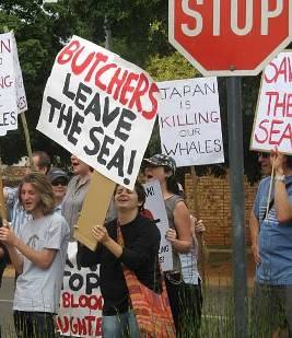 Uncaged Campaigns님이 촬영한 IARD 07 - Pretoria, South Africa - anti-whaling protest 4.
