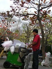 080302 cotton candy-1