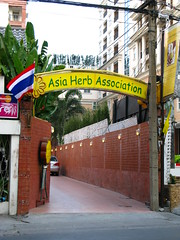 Asia herb association