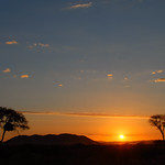 Sunset on savanna
