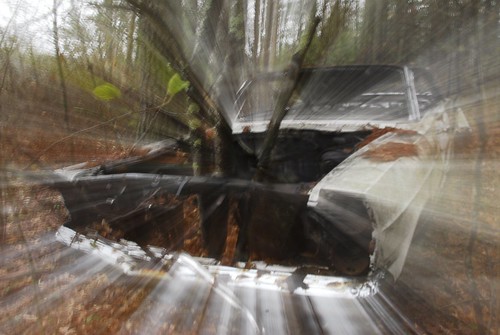 LTD Crashes into Dunklee Pond Woods 2