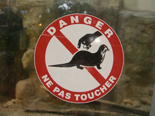 Ne Pas Toucher the otters