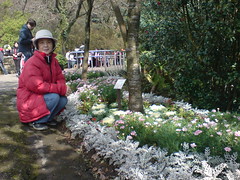 Mommy at Mt. Yang Ming