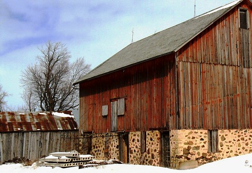 back of the barn and shed