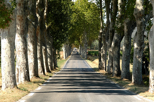 The Long and Straight Road