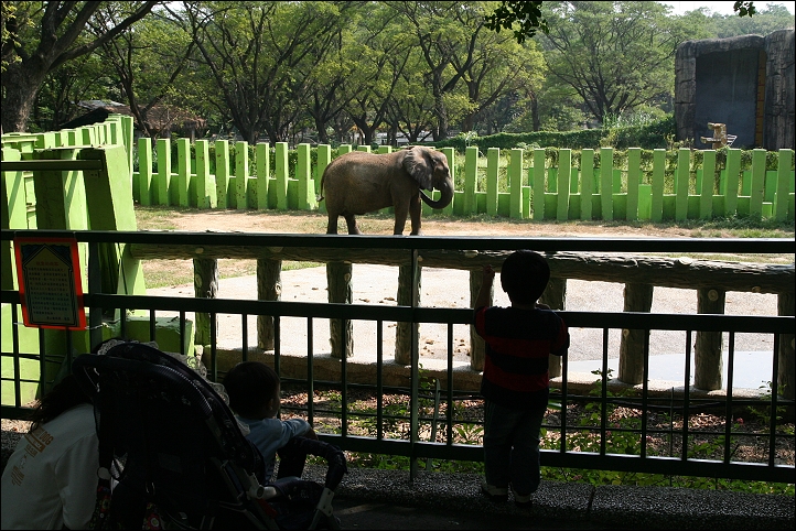 2007國旅卡DAY4（壽山動物園）029