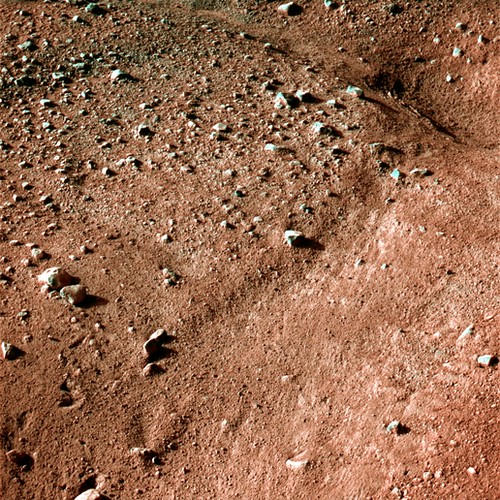 Mars! as seen by Phoenix
